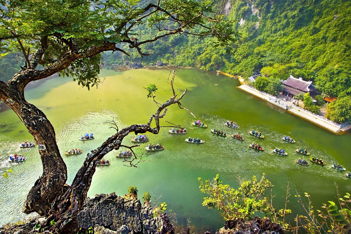 Hoa Lu – Tam Coc – Hang Mua Full-day Tour photo 3